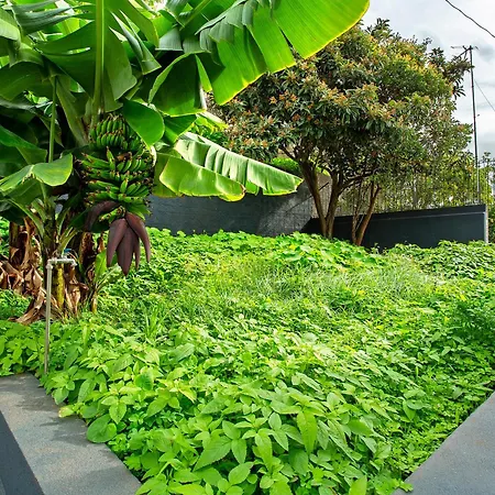 Angela Funchal (Madeira)