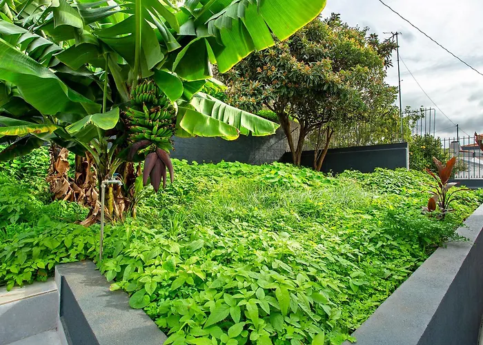 Angela Φουνκάλ